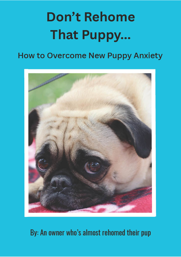 How to Overcome New Puppy Anxiety